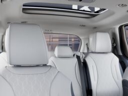 
										Kia Carnival full									