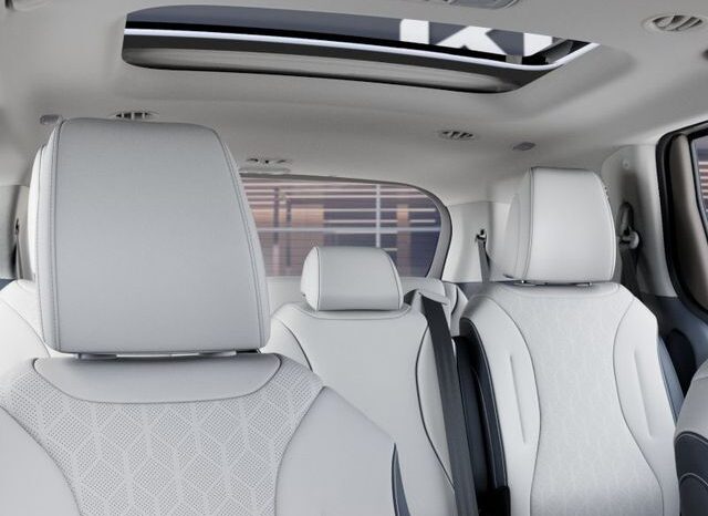 
								Kia Carnival full									