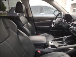 Kia Telluride full