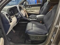 
 Kia Sorento Hybrid full									