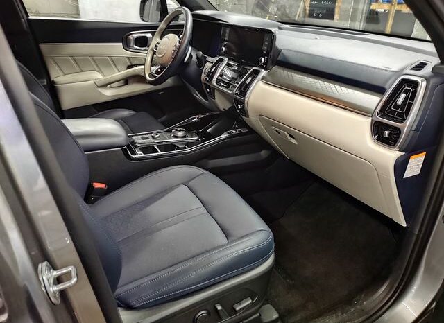 
 Kia Sorento Hybrid full									