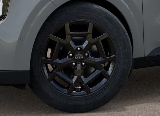 
								Kia Carnival Hybrid full									