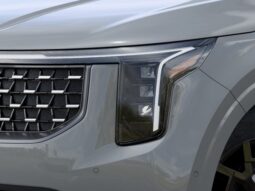 
										Kia Carnival Hybrid full									