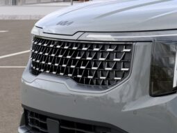 
										Kia Carnival Hybrid full									