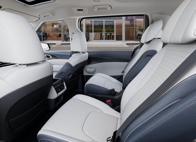
								Kia Carnival Hybrid full									