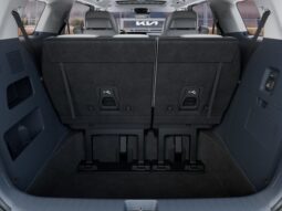 
										Kia Carnival Hybrid full									