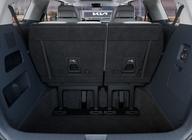 
								Kia Carnival Hybrid full									