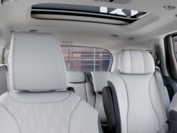 
										Kia Carnival Hybrid full									