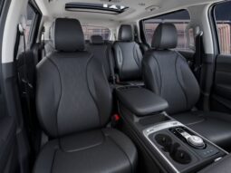 
										Kia Carnival Hybrid full									