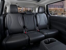 
										Kia Carnival Hybrid full									
