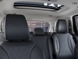 
										Kia Carnival Hybrid full									
