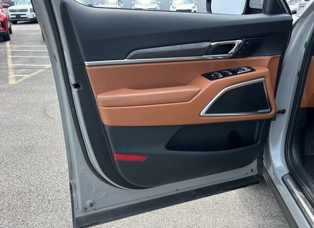 
 Kia Telluride full									