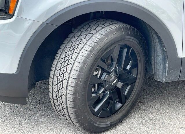 
 Kia Telluride full									