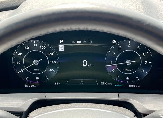 
 Kia Telluride full									