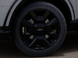 
 Kia Telluride Hybrid full									
