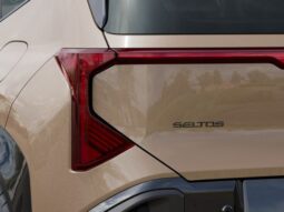 
 Kia Seltos full									