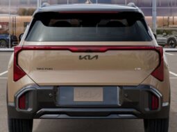 
 Kia Seltos full									