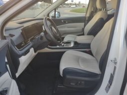 
 Kia Carnival Hybrid full									