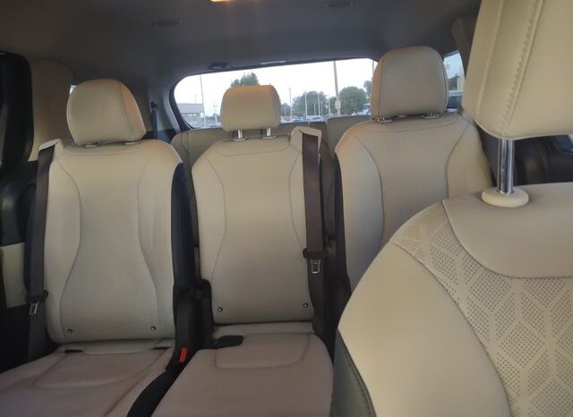 
 Kia Carnival Hybrid full									