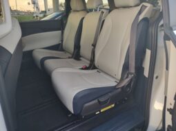 
 Kia Carnival Hybrid full									
