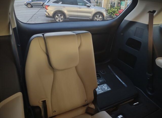 
 Kia Carnival Hybrid full									