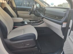 
 Kia Carnival Hybrid full									
