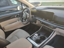 
 Kia Carnival Hybrid full									