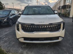 
 Kia Carnival Hybrid full									