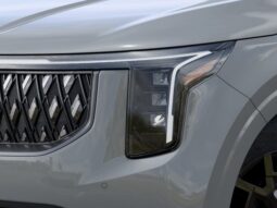 Kia Carnival Hybrid full
