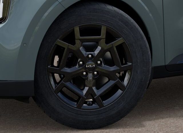 
 Kia Carnival Hybrid full									