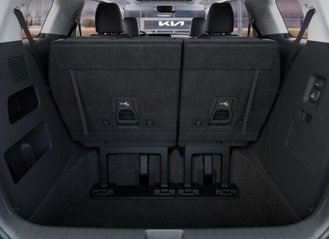 
 Kia Carnival Hybrid full									