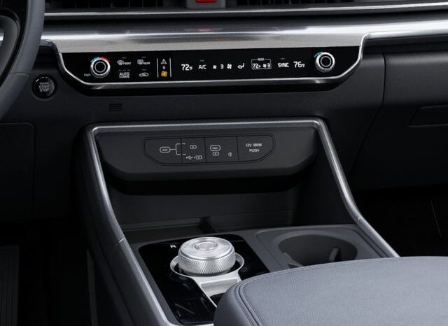 
 Kia Carnival Hybrid full									