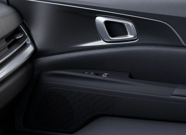 
 Kia Carnival Hybrid full									