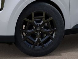 Kia Carnival full