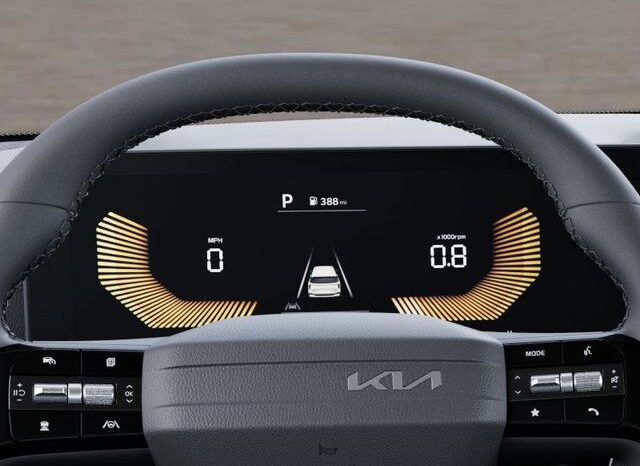 
 Kia Carnival full									