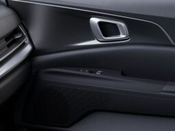 Kia Carnival full