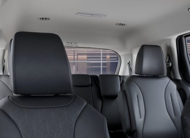 
 Kia Carnival full									