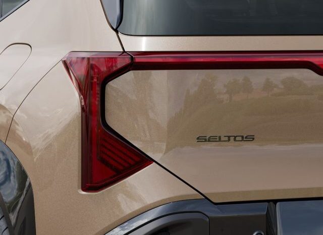 
 Kia Seltos full									