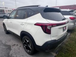 Kia Seltos full