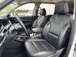 
 Kia Telluride full									