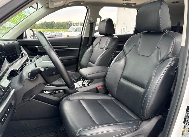 
 Kia Telluride full									