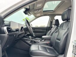 
 Kia Telluride full									