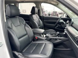 
 Kia Telluride full									