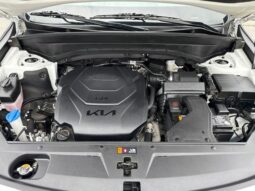
 Kia Telluride full									