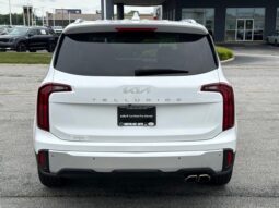 
 Kia Telluride full									
