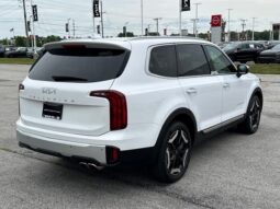 
 Kia Telluride full									