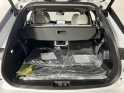 
 Mitsubishi Outlander full									