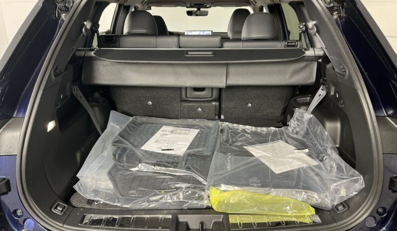 
 Mitsubishi Outlander full									