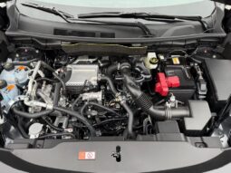 
										Mitsubishi Outlander full									