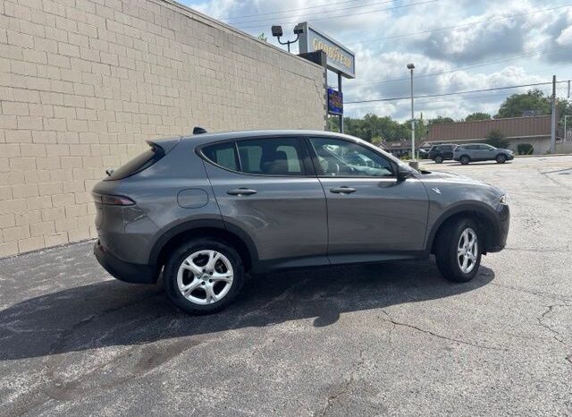 
 Dodge Hornet full									